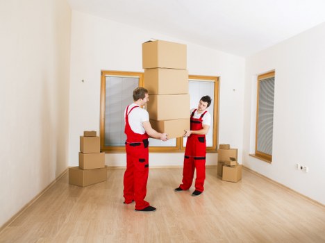 Reviewing a removals complaint with notes and a checklist